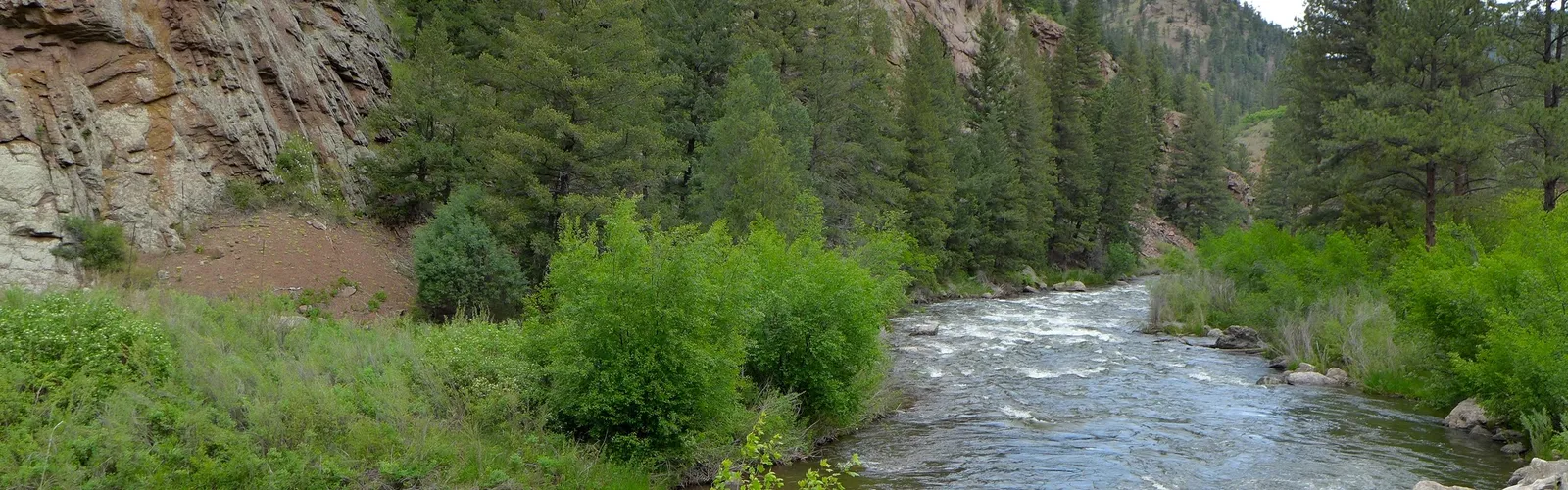 Upper South Platte River flowing through a red rock canyon lined with pine trees